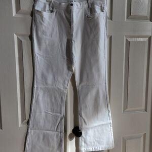 Venus Halle Bootcut Jeans 16R